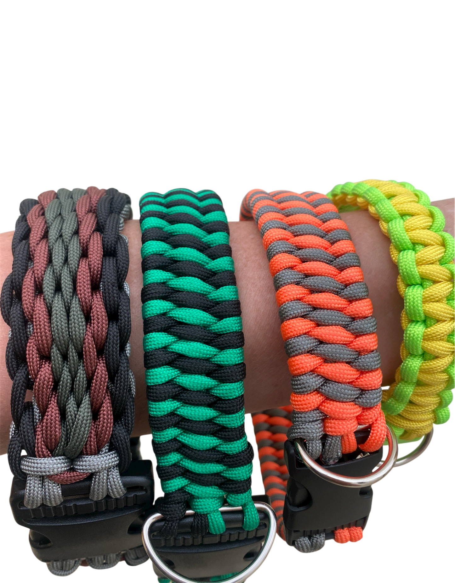 Dog Collar