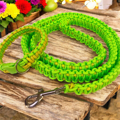 Dog Collar and Lead Set