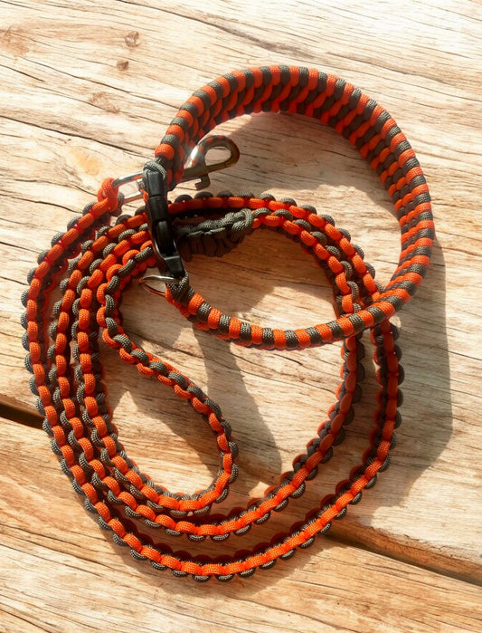 Dog Collar and Lead Set