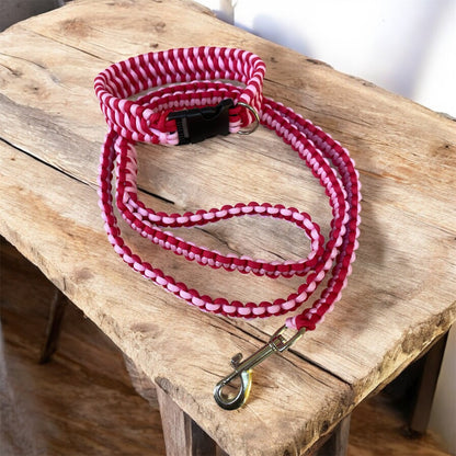 Dog Collar and Lead Set